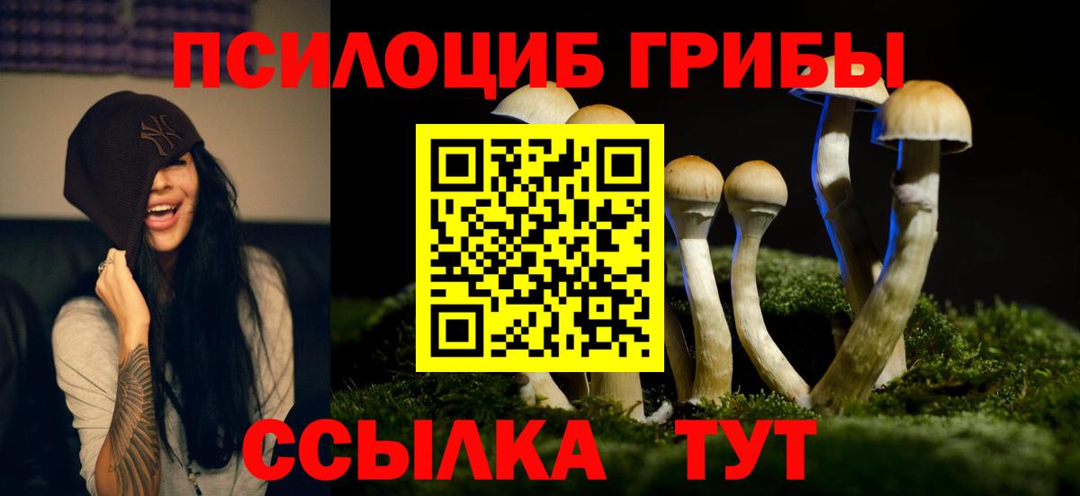 Галлюциногенные грибы мицелий Сургут
